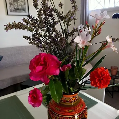 Maison Du Bonheur *